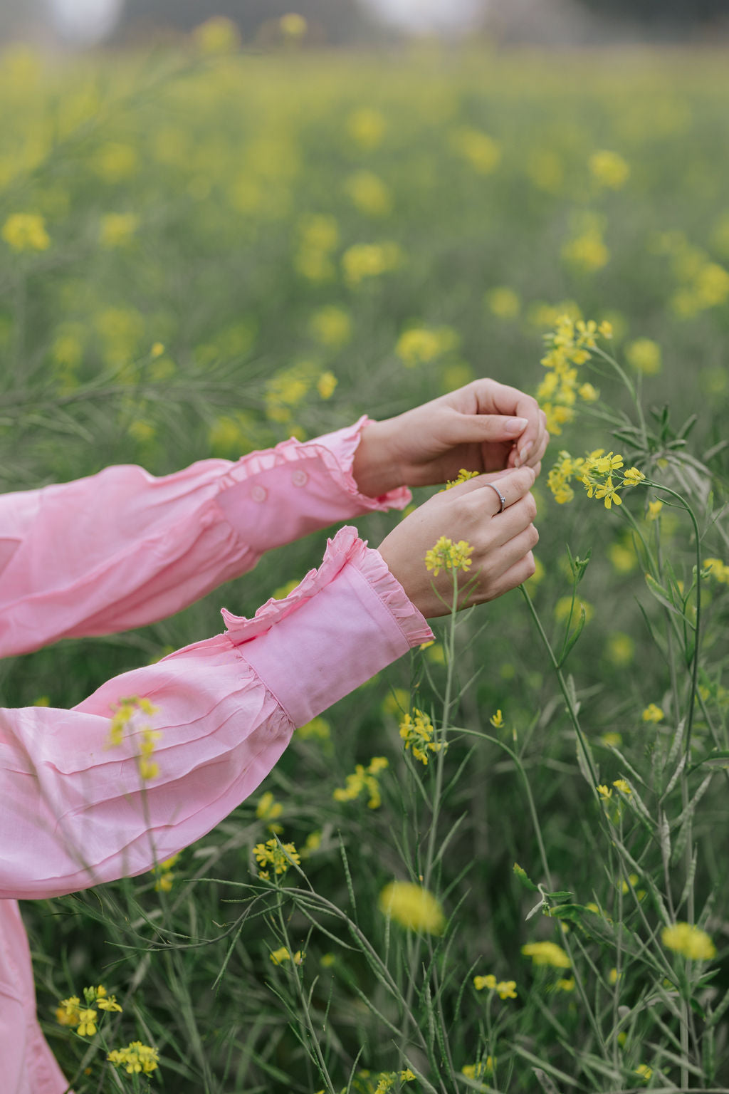 Pintuck Carnation Shirt