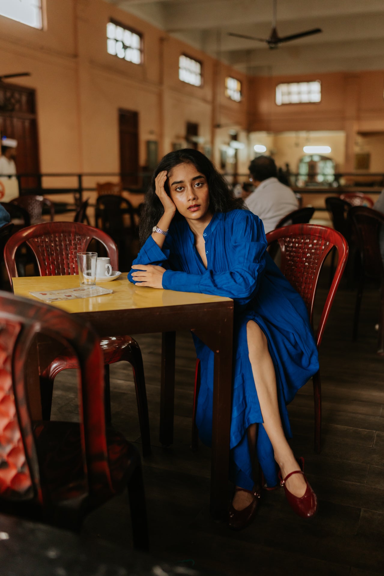 Blue Hills Pleated Dress