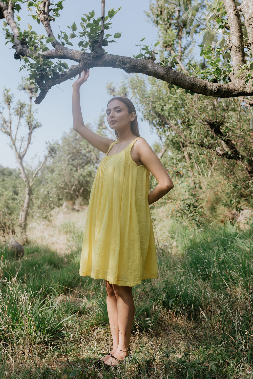 Mustard Fields in the Mountains Dress