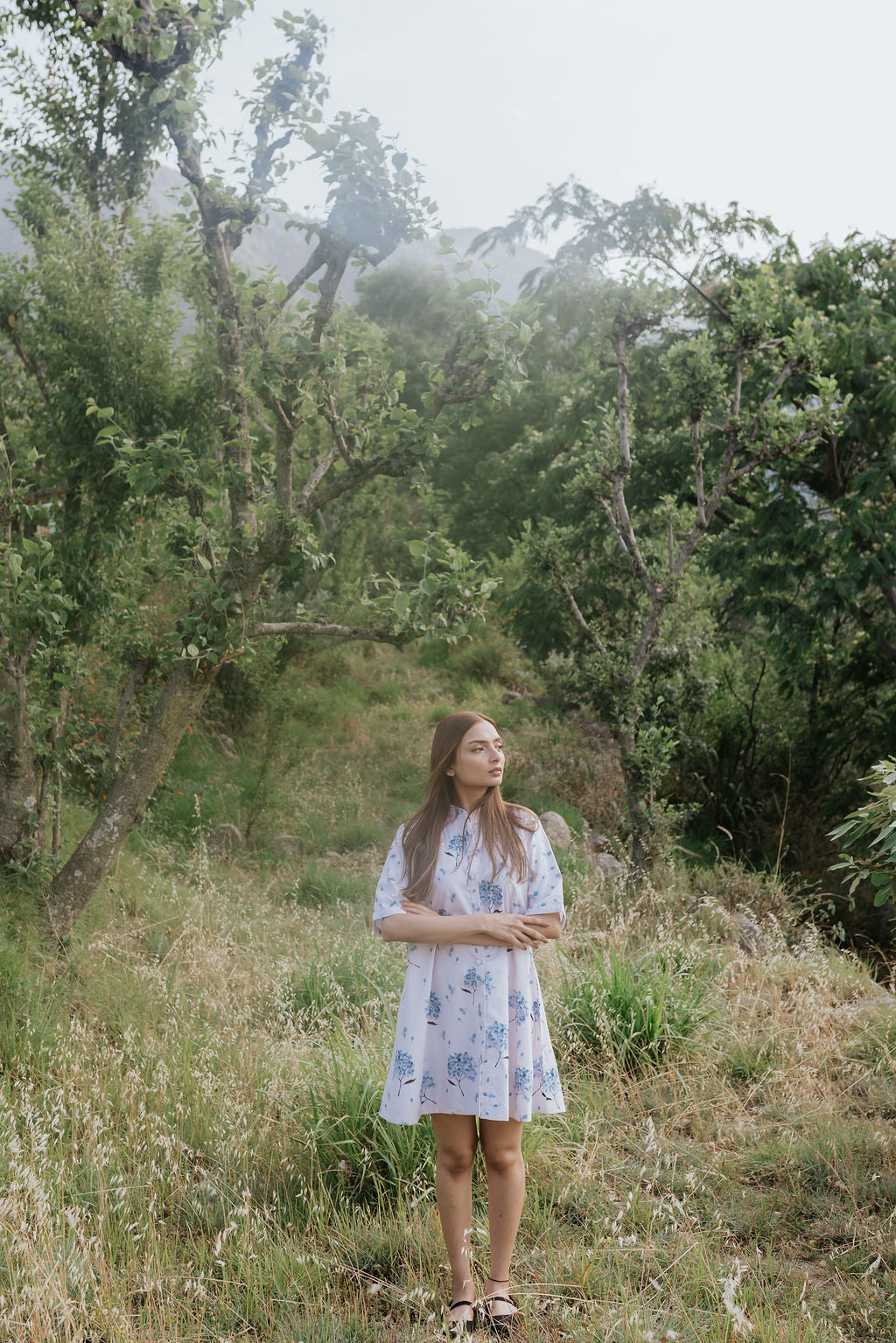 Hydrangea Field Dress