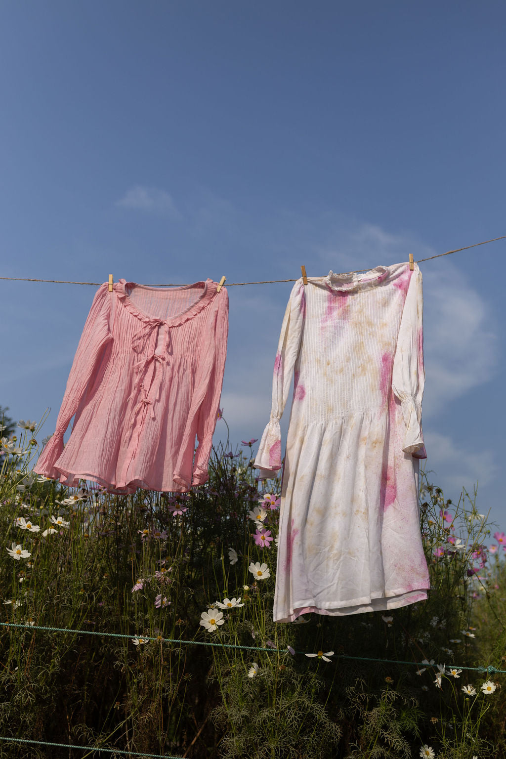 Soft Peony Frill Pintuck Top