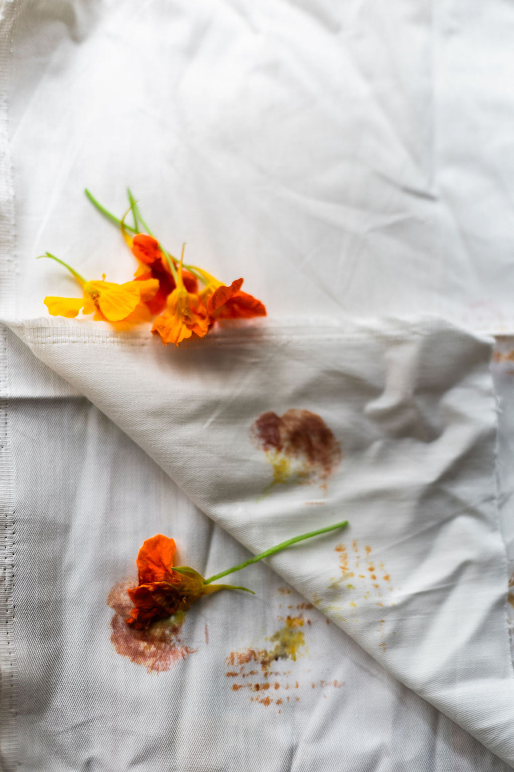 Petals to Fabric Ecoprints