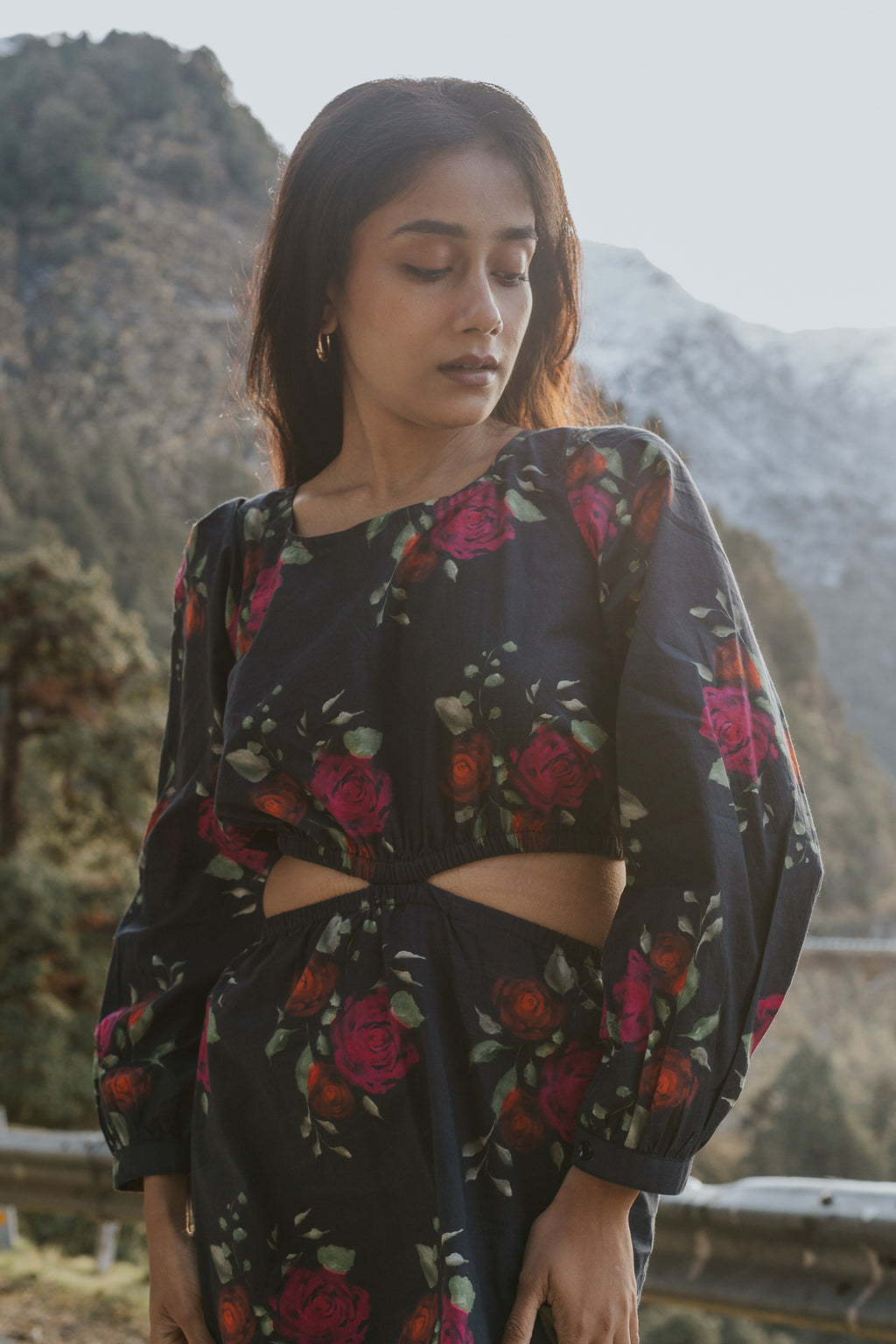 Roses on Charcoal Cut Dress