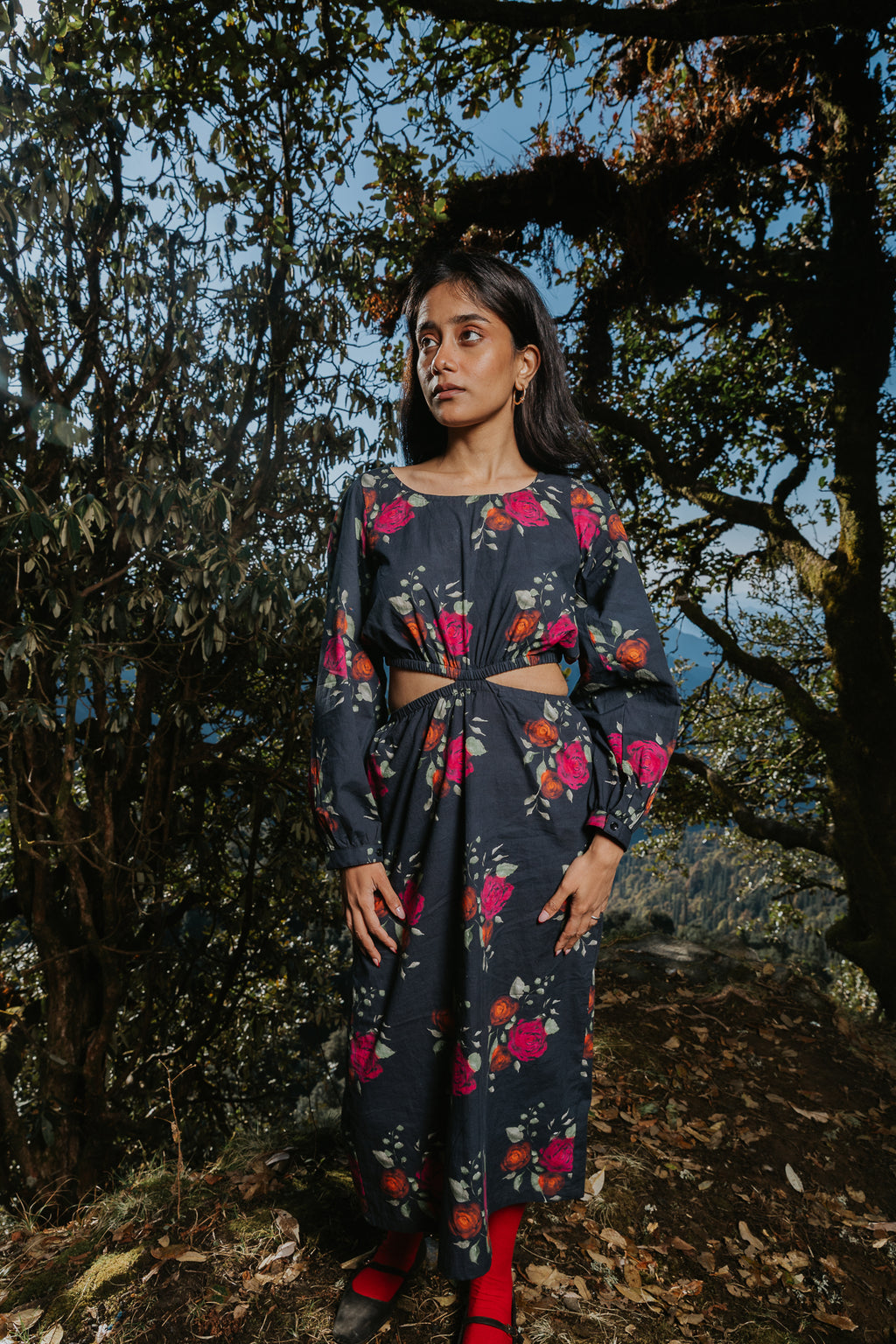 Roses on Charcoal Cut Dress
