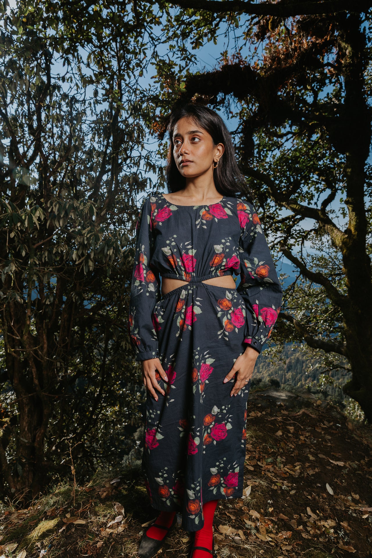 Roses on Charcoal Cut Dress