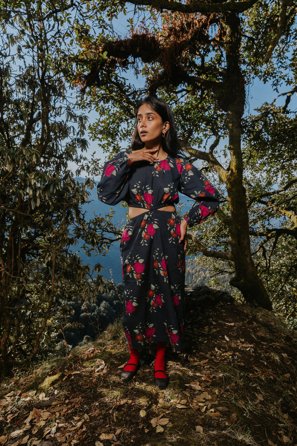 Roses on Charcoal Cut Dress