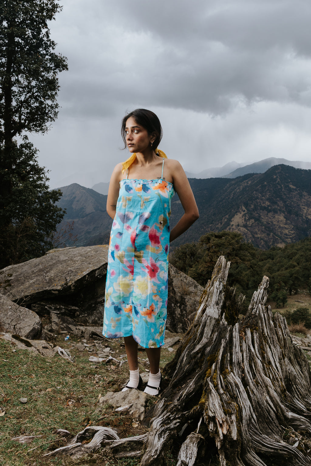 Summer Painting Dori Dress
