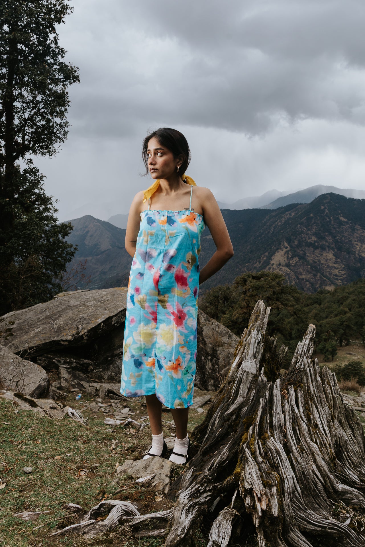 Summer Painting Dori Dress