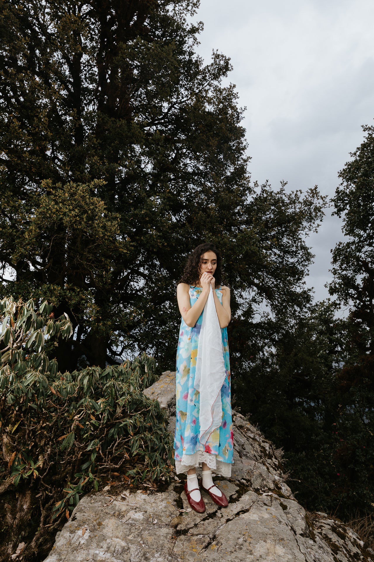 Blue Poppy Field Dress