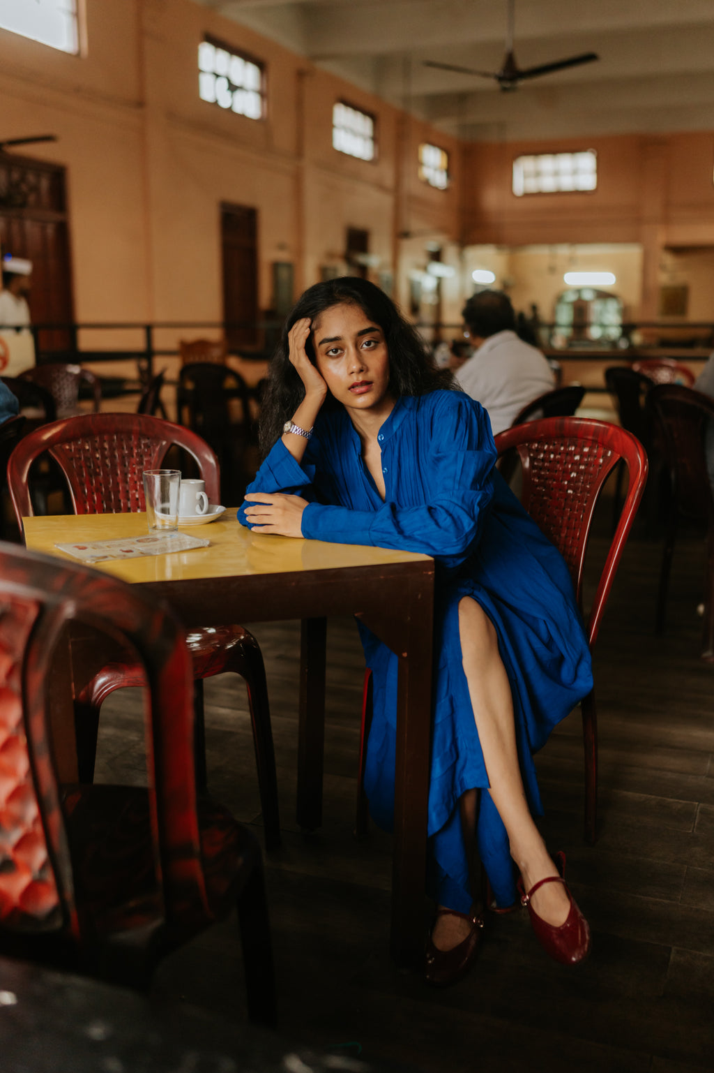 Blue Hills Pleated Dress
