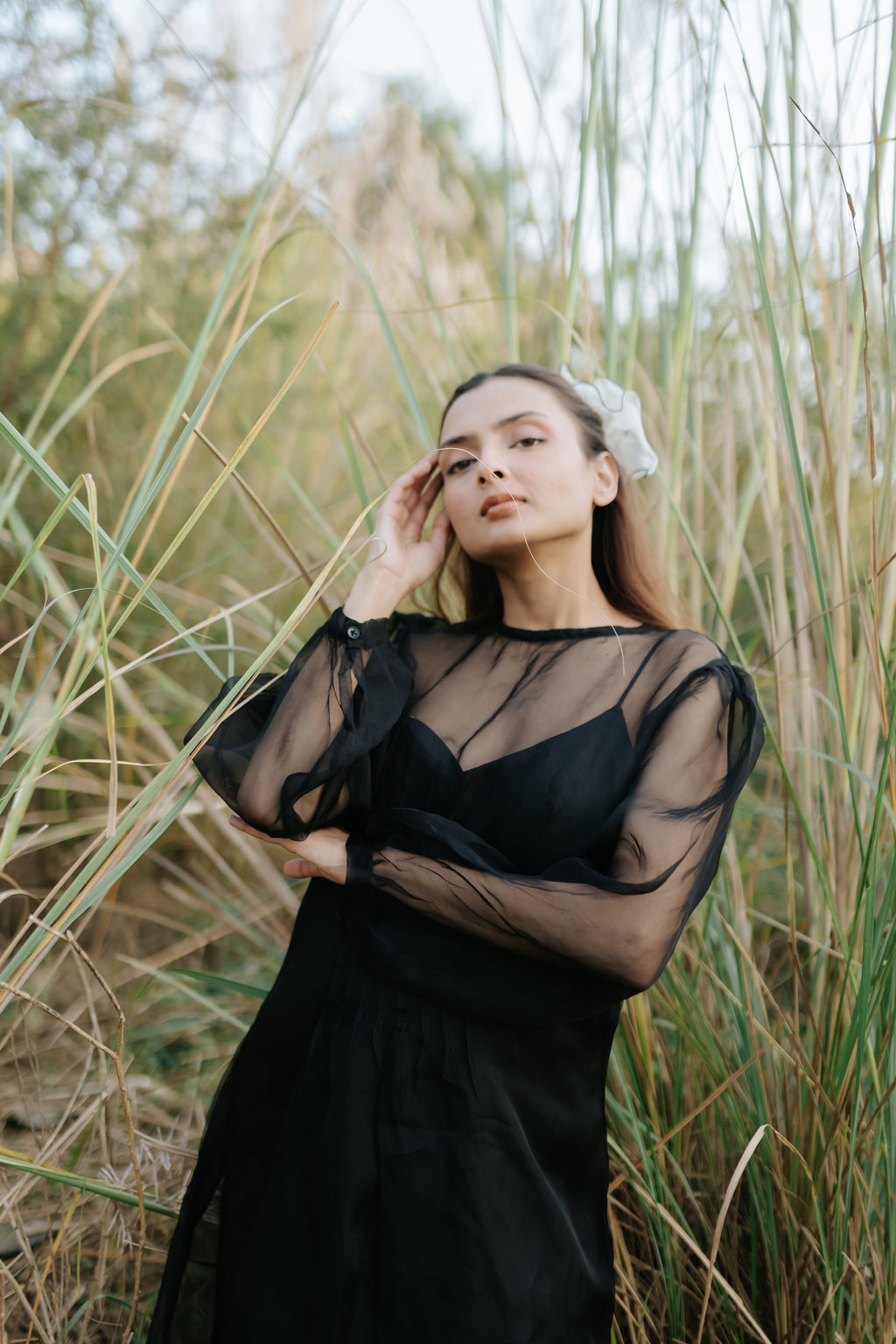 Black Rose Organza Pleated Dress