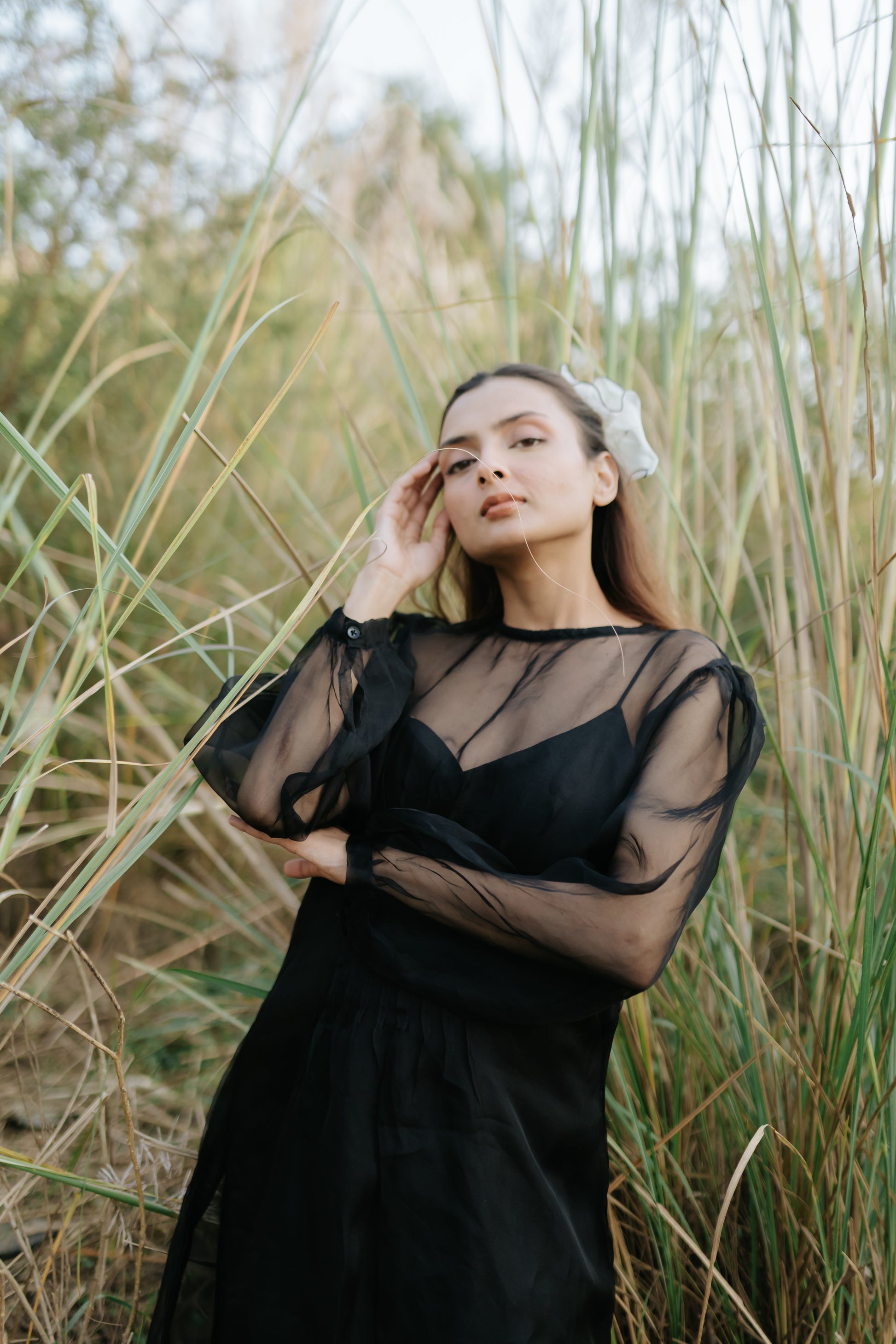 Black Rose Organza Pleated Dress