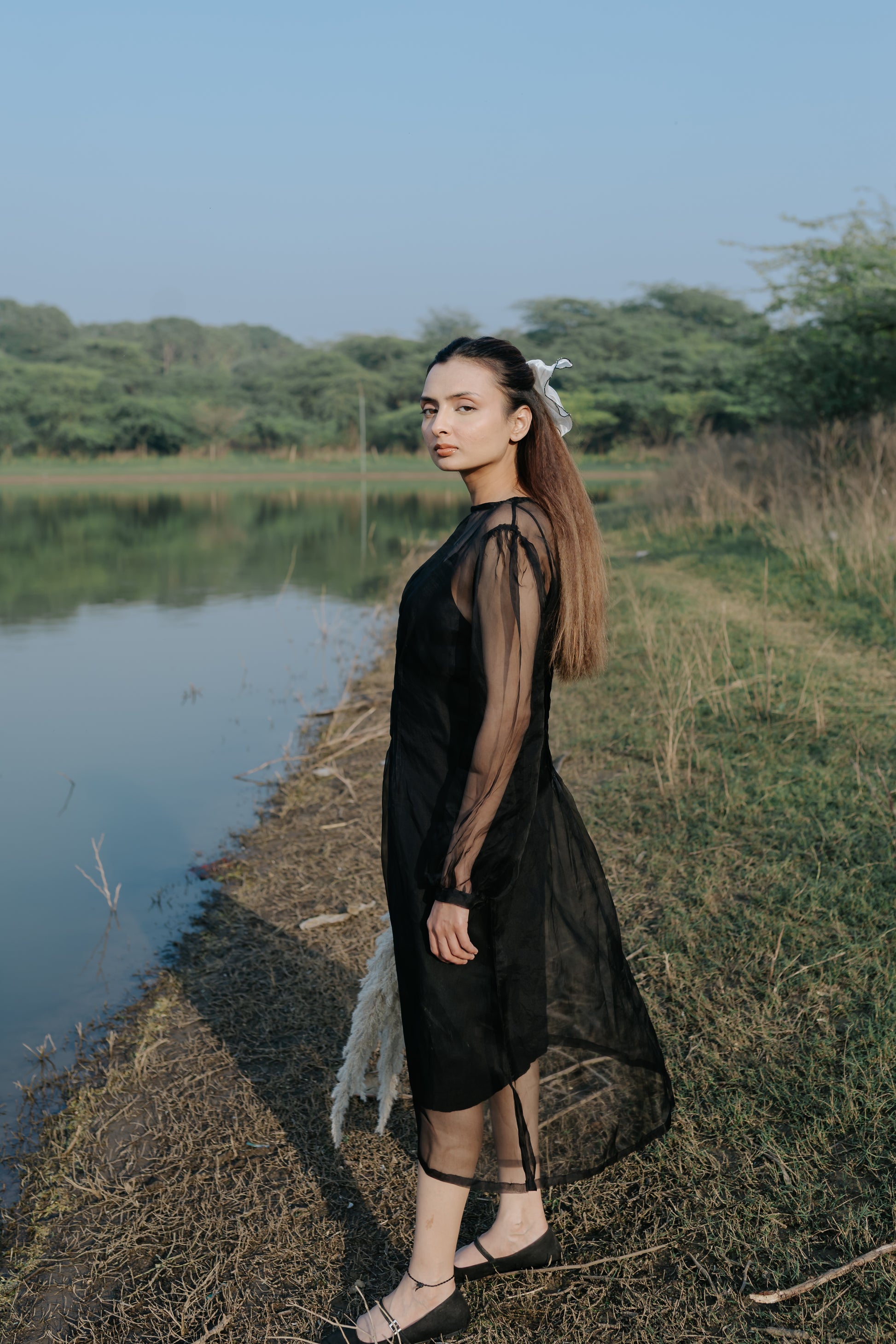 Black Rose Organza Pleated Dress