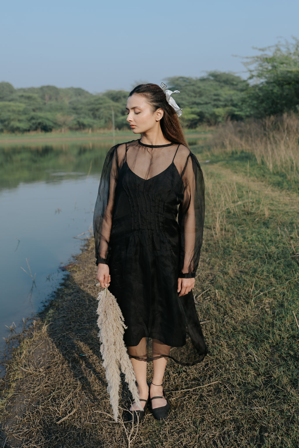 Black Rose Organza Pleated Dress
