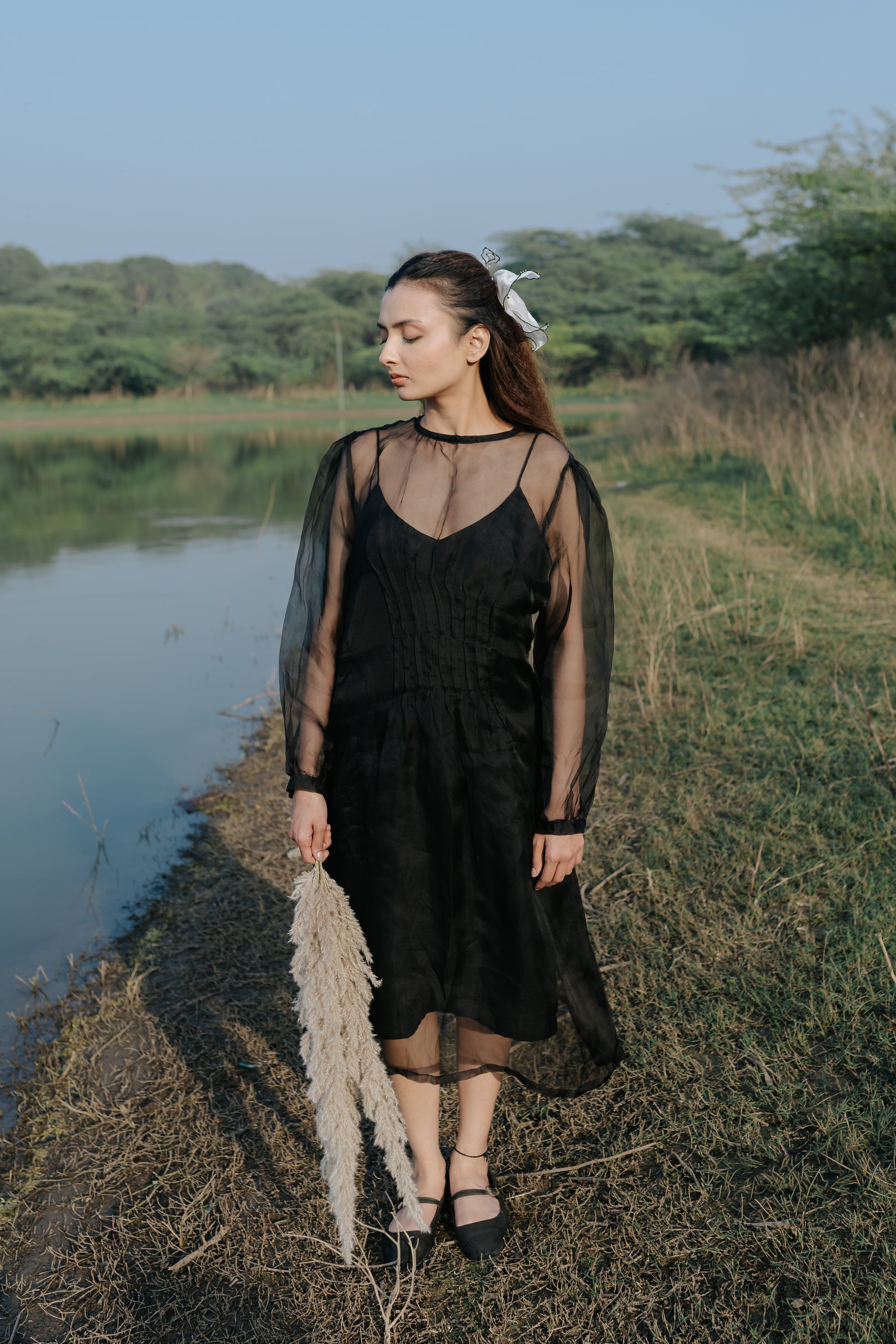 Black Rose Organza Pleated Dress