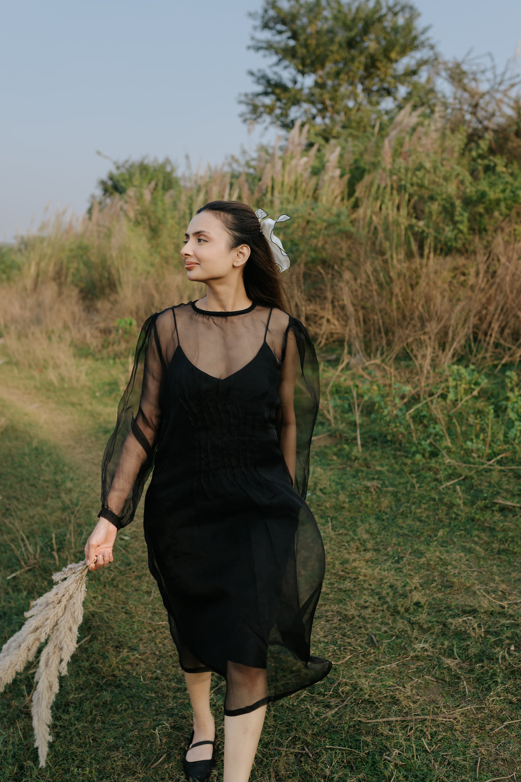 Black Rose Organza Pleated Dress