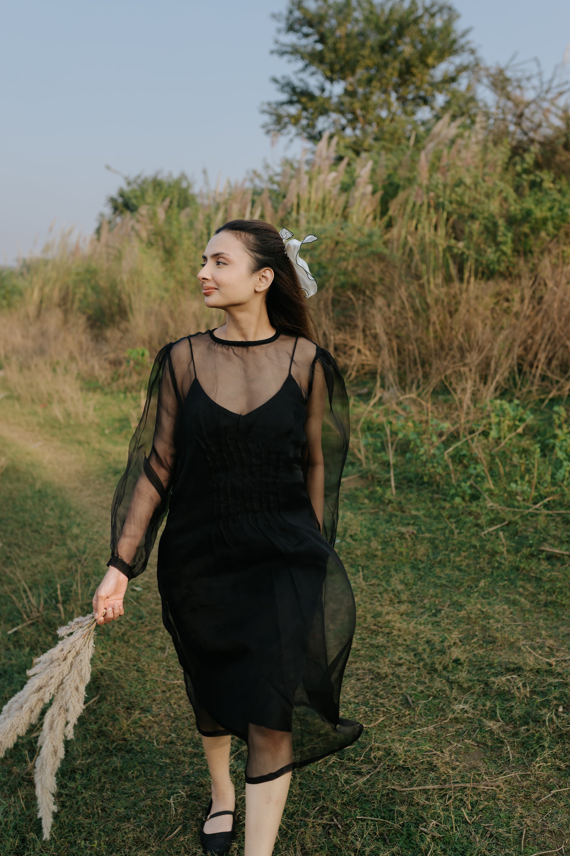 Black Rose Organza Pleated Dress