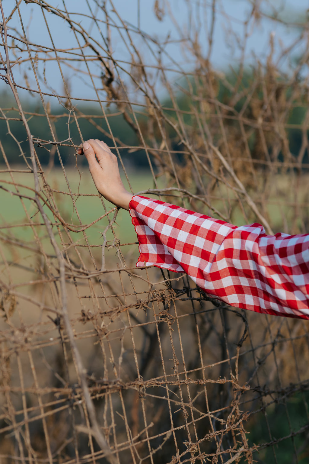 Red Gingham Scalloped Dress