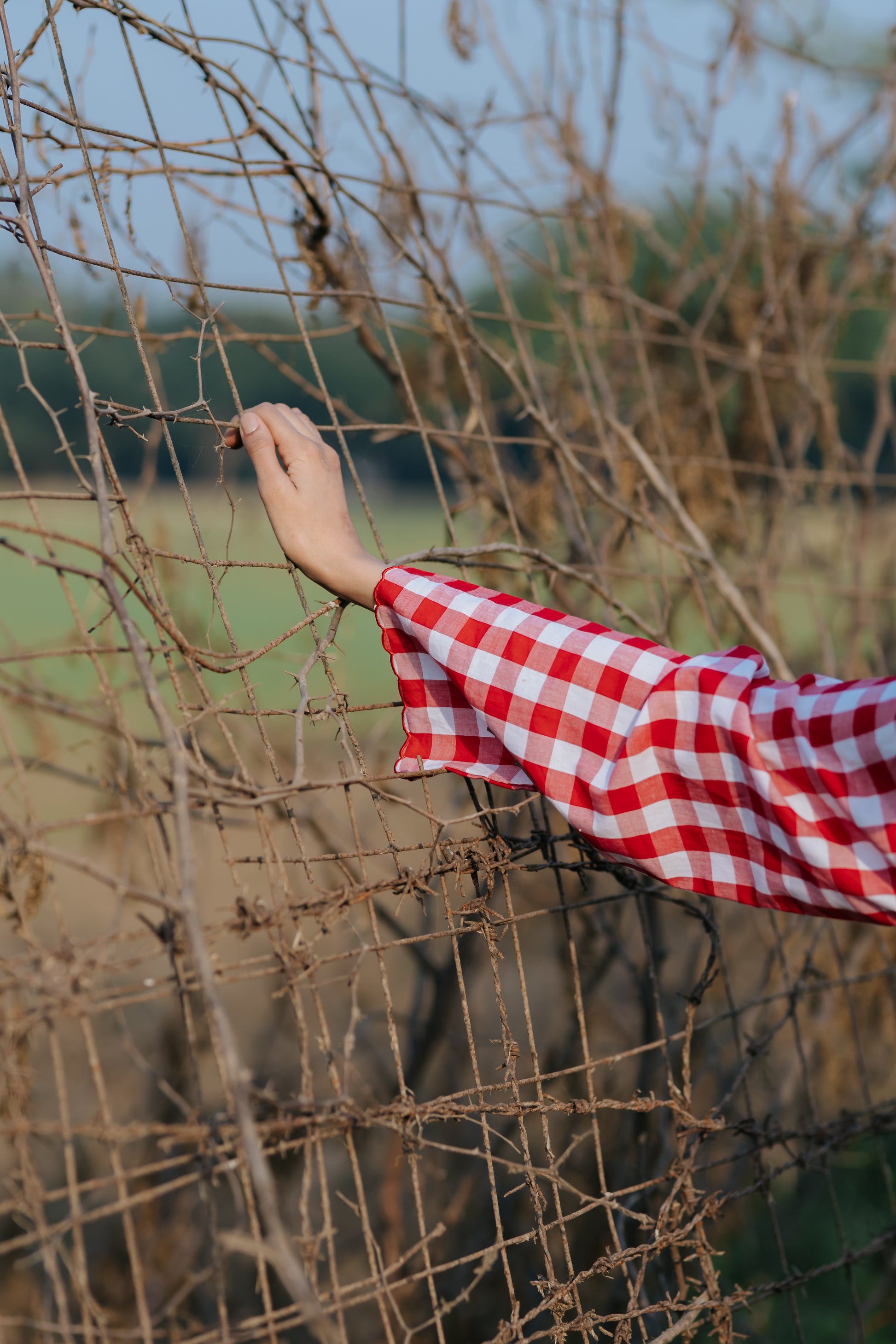 Red Gingham Scalloped Dress